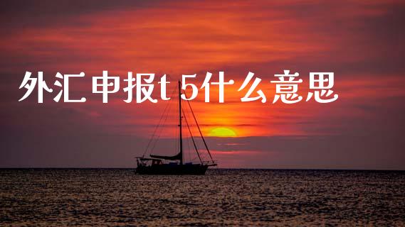 外汇申报t 5什么意思_https://wap.sdxiaoxijinshu.com_财经_第1张