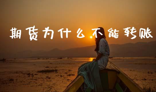 期货为什么不能转账_https://wap.sdxiaoxijinshu.com_期货_第1张