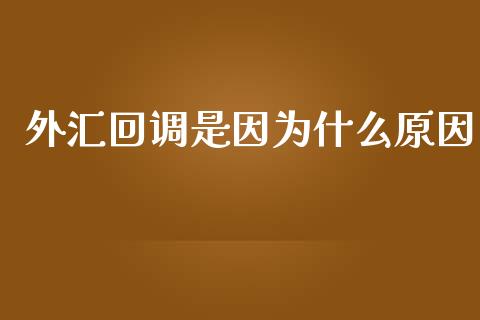 外汇回调是因为什么原因_https://wap.sdxiaoxijinshu.com_财经_第1张