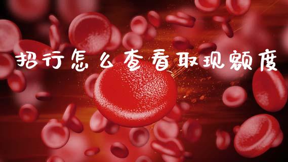招行怎么查看取现额度_https://wap.sdxiaoxijinshu.com_金融_第1张