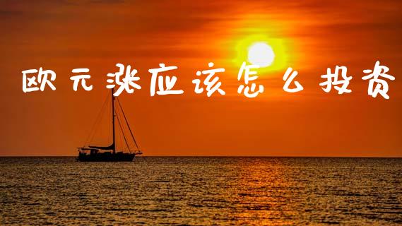 欧元涨应该怎么投资_https://wap.sdxiaoxijinshu.com_财经_第1张