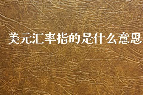 美元汇率指的是什么意思_https://wap.sdxiaoxijinshu.com_理财_第1张