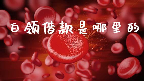 白领借款是哪里的_https://wap.sdxiaoxijinshu.com_理财_第1张