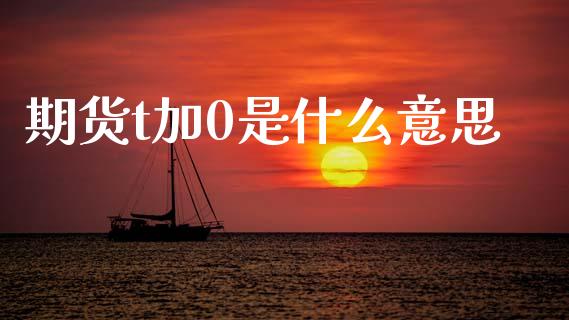 期货t加0是什么意思_https://wap.sdxiaoxijinshu.com_期货_第1张