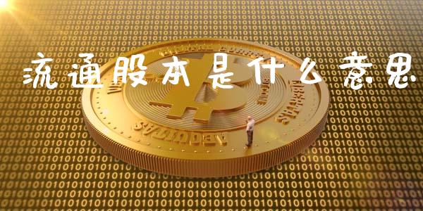 流通股本是什么意思_https://wap.sdxiaoxijinshu.com_理财_第1张