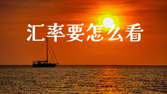 汇率要怎么看_https://wap.sdxiaoxijinshu.com_财经_第1张