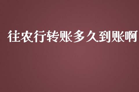往农行转账多久到账啊_https://wap.sdxiaoxijinshu.com_理财_第1张
