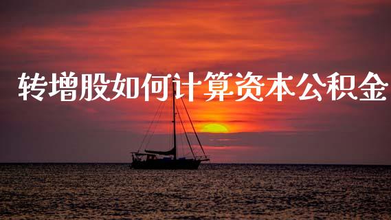 转增股如何计算资本公积金_https://wap.sdxiaoxijinshu.com_金融_第1张