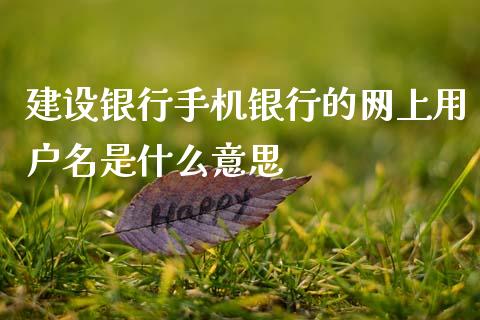 建设银行手机银行的网上用户名是什么意思_https://wap.sdxiaoxijinshu.com_理财_第1张