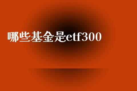 哪些基金是etf300_https://wap.sdxiaoxijinshu.com_财经_第1张