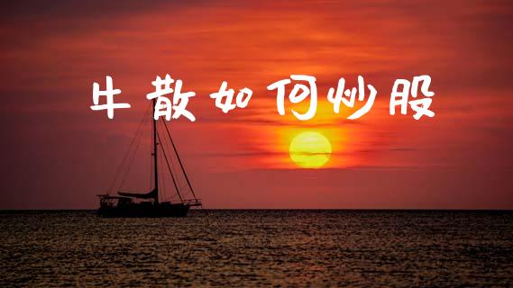 牛散如何炒股_https://wap.sdxiaoxijinshu.com_金融_第1张