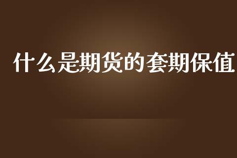 什么是期货的套期保值_https://wap.sdxiaoxijinshu.com_期货_第1张
