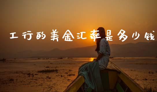 工行的美金汇率是多少钱_https://wap.sdxiaoxijinshu.com_财经_第1张