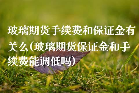 玻璃期货手续费和保证金有关么(玻璃期货保证金和手续费能调低吗)_https://wap.sdxiaoxijinshu.com_理财_第1张