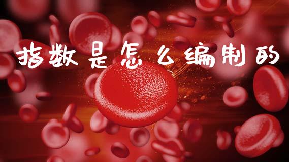 指数是怎么编制的_https://wap.sdxiaoxijinshu.com_理财_第1张