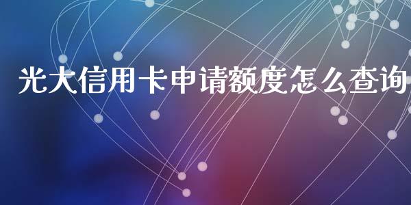 光大信用卡申请额度怎么查询_https://wap.sdxiaoxijinshu.com_金融_第1张