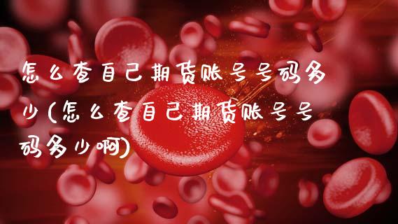 怎么查自己期货账号号码多少(怎么查自己期货账号号码多少啊)_https://wap.sdxiaoxijinshu.com_财经_第1张