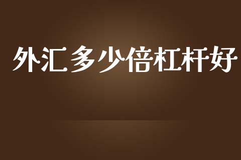 外汇多少倍杠杆好_https://wap.sdxiaoxijinshu.com_财经_第1张