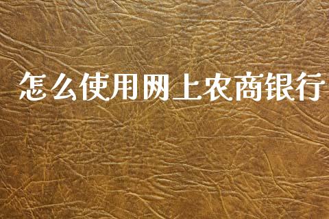怎么使用网上农商银行_https://wap.sdxiaoxijinshu.com_期货_第1张