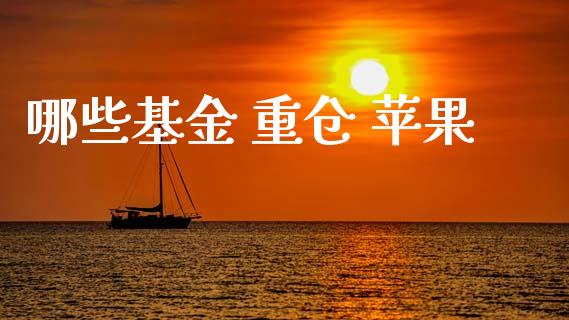 哪些基金 重仓 苹果_https://wap.sdxiaoxijinshu.com_理财_第1张