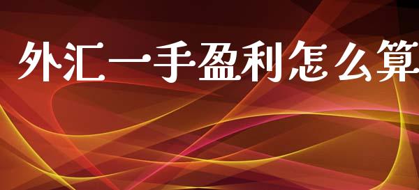 外汇一手盈利怎么算_https://wap.sdxiaoxijinshu.com_财经_第1张