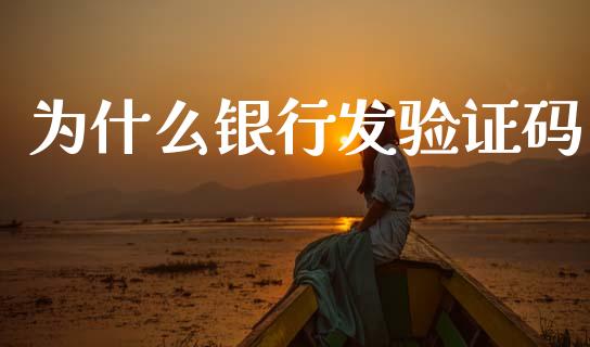 为什么银行发验证码_https://wap.sdxiaoxijinshu.com_理财_第1张
