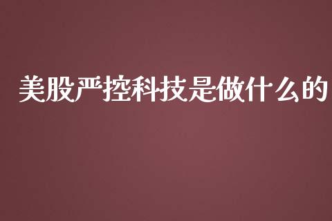 美股严控科技是做什么的_https://wap.sdxiaoxijinshu.com_理财_第1张