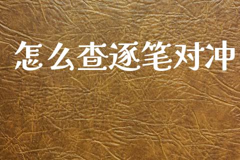 怎么查逐笔对冲_https://wap.sdxiaoxijinshu.com_金融_第1张