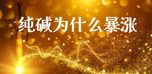 纯碱为什么暴涨_https://wap.sdxiaoxijinshu.com_期货_第1张