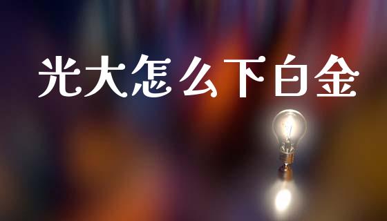 光大怎么下白金_https://wap.sdxiaoxijinshu.com_金融_第1张