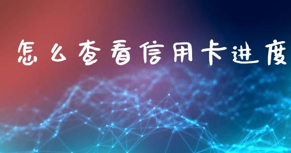 怎么查看信用卡进度_https://wap.sdxiaoxijinshu.com_金融_第1张