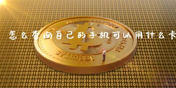 怎么查询自己的手机可以用什么卡_https://wap.sdxiaoxijinshu.com_金融_第1张