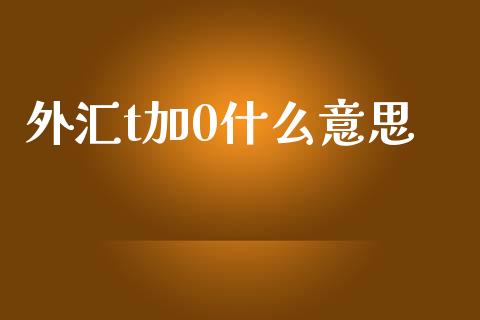 外汇t加0什么意思_https://wap.sdxiaoxijinshu.com_财经_第1张