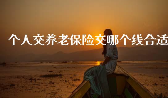 个人交养老保险交哪个线合适_https://wap.sdxiaoxijinshu.com_期货_第1张