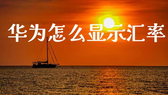 华为怎么显示汇率_https://wap.sdxiaoxijinshu.com_财经_第1张