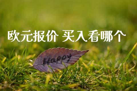欧元报价 买入看哪个_https://wap.sdxiaoxijinshu.com_财经_第1张