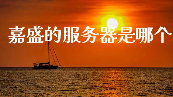 嘉盛的服务器是哪个_https://wap.sdxiaoxijinshu.com_财经_第1张
