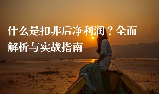 什么是扣非后净利润？全面解析与实战指南_https://wap.sdxiaoxijinshu.com_金融_第1张