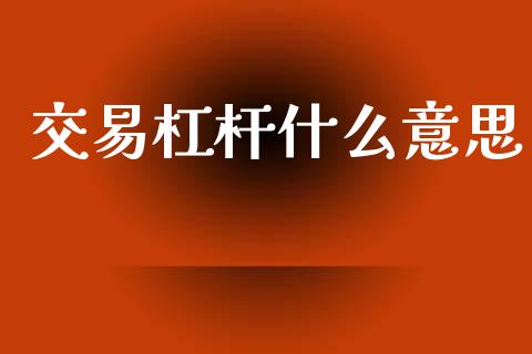 交易杠杆什么意思_https://wap.sdxiaoxijinshu.com_财经_第1张