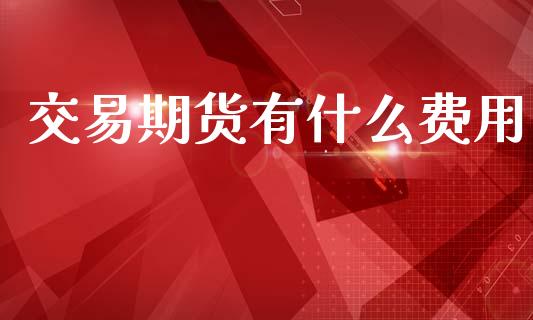 交易期货有什么费用_https://wap.sdxiaoxijinshu.com_金融_第1张