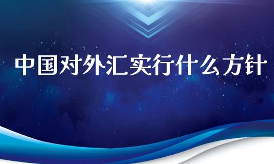 中国对外汇实行什么方针_https://wap.sdxiaoxijinshu.com_财经_第1张