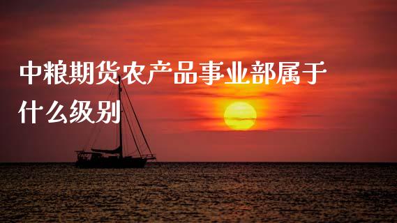 中粮期货农产品事业部属于什么级别_https://wap.sdxiaoxijinshu.com_期货_第1张