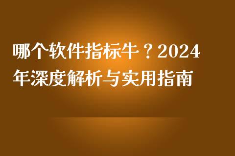 哪个软件指标牛？2024年深度解析与实用指南_https://wap.sdxiaoxijinshu.com_理财_第1张