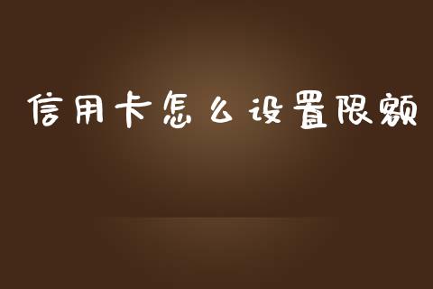 信用卡怎么设置限额_https://wap.sdxiaoxijinshu.com_金融_第1张