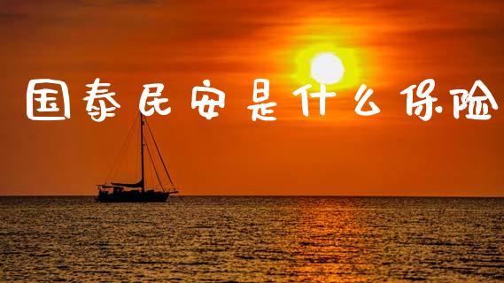 国泰民安是什么保险_https://wap.sdxiaoxijinshu.com_金融_第1张