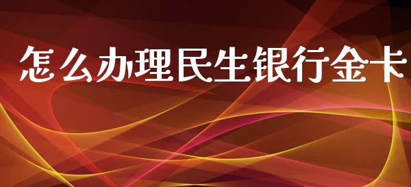 怎么办理民生银行金卡_https://wap.sdxiaoxijinshu.com_金融_第1张