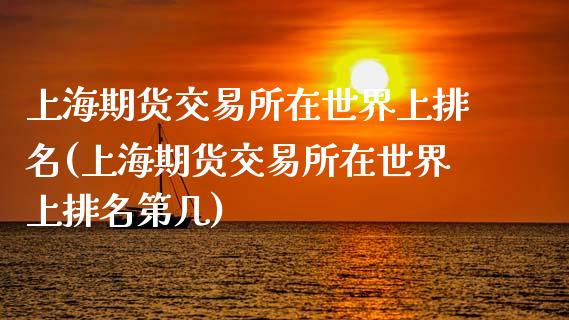 上海期货交易所在世界上排名(上海期货交易所在世界上排名第几)_https://wap.sdxiaoxijinshu.com_金融_第1张