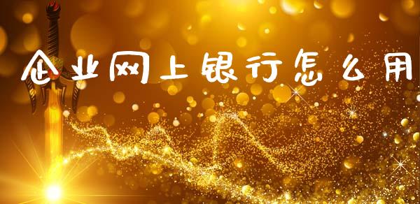 企业网上银行怎么用_https://wap.sdxiaoxijinshu.com_金融_第1张