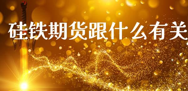 硅铁期货跟什么有关_https://wap.sdxiaoxijinshu.com_期货_第1张