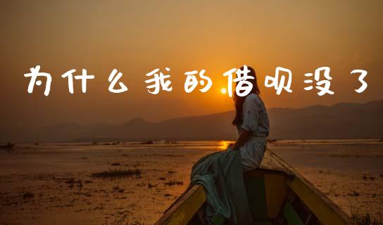 为什么我的借呗没了_https://wap.sdxiaoxijinshu.com_财经_第1张